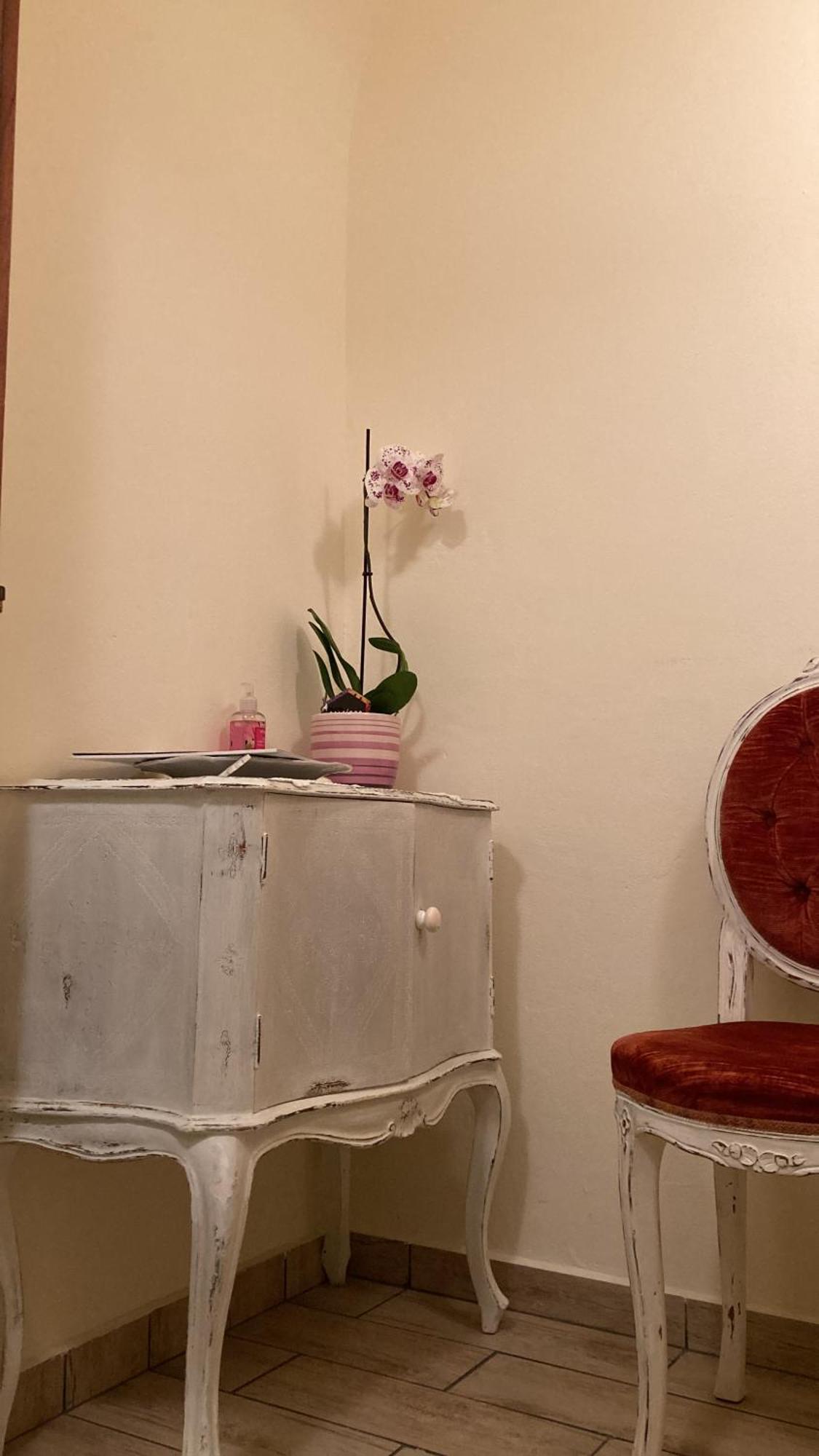 نوفي ليغوري Antica Novi B & B المظهر الخارجي الصورة